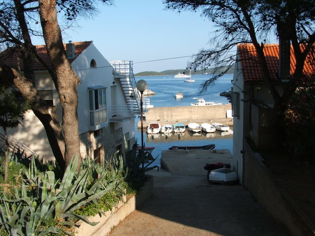 Apartments Maslina Božava Rum bild